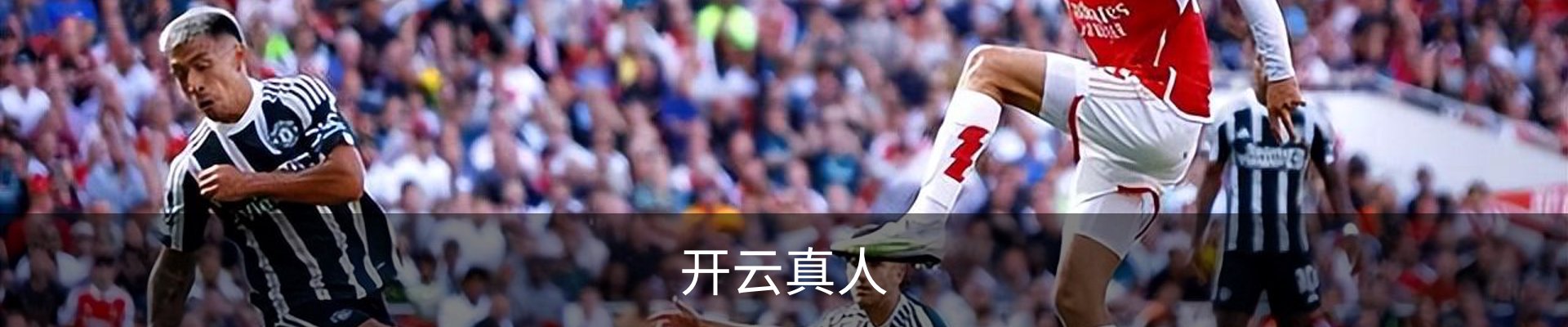 开云真人