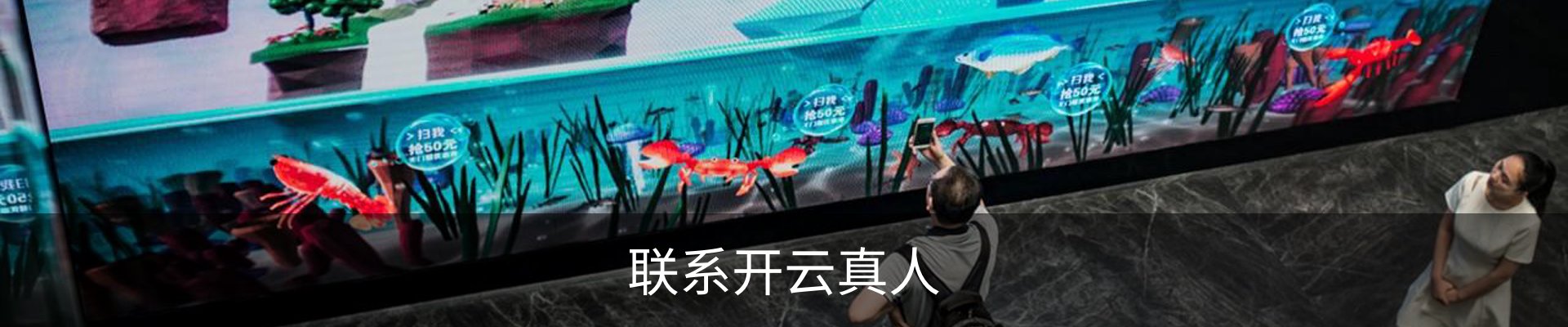 联系开云真人